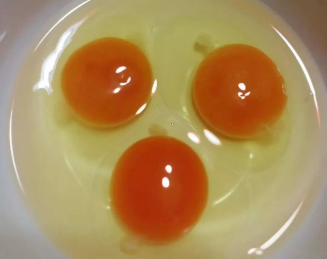 电商平台项目展示